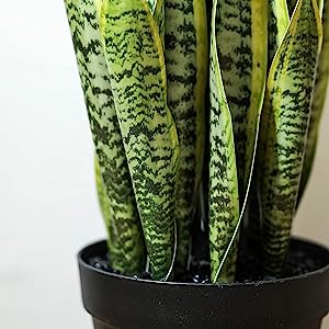 Artificial Snake Plant 26 inches Fake Sansevieria Artificial Potted Plants for Indoor and Outdoor, Home, Office