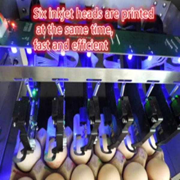 Easy Operation Egg Date Stamp Machine Can Spray Print 200000 Eggs With 45ml Ink