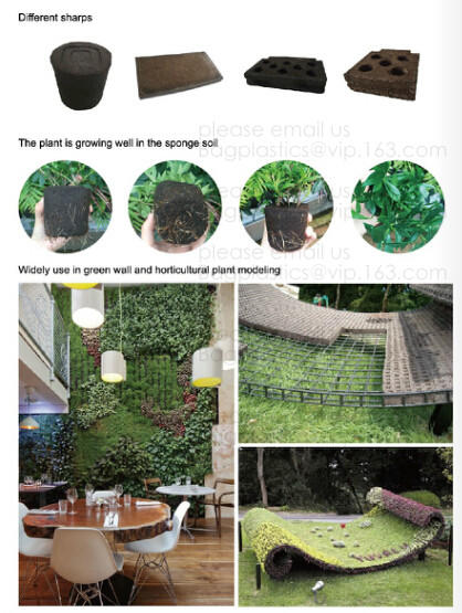 Weed Control Mulch Film, Agriculture Vegetable Black PE Films, 5 Holes Greenhouse Perforated Film