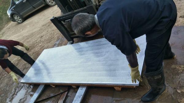 0.6mm thickness with 0.6mm hole Stainless Steel Perforated Metal Sheet