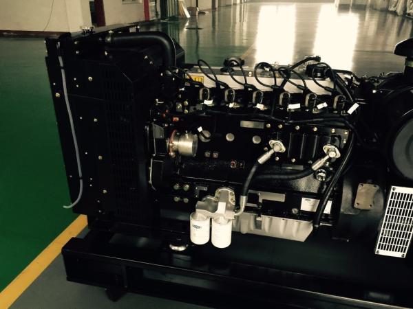 80kw Natural Gas Generator 6 Cylinder 4 Stroke 1500rpm 1006TNG Black