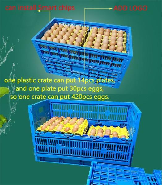 Foldable Mesh Plastic Chicken Chick Cage Crate with Storage Box For Poultry in Blue PP