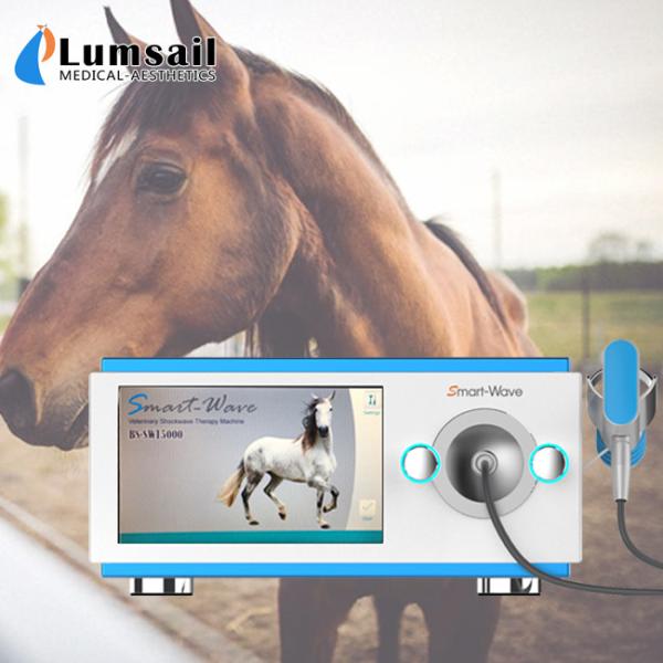 5 Bar Desktop Veterinary Equine Shockwave Machine
