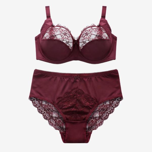 BEIZHI Lace Plus Size Underwear And Bras D Cup Size Sexy Underwire Ladies Inner Wear