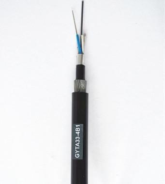 24 Strand Non Metallic Fiber Optic Cable Self Supporting Aerial OHSAS 18001