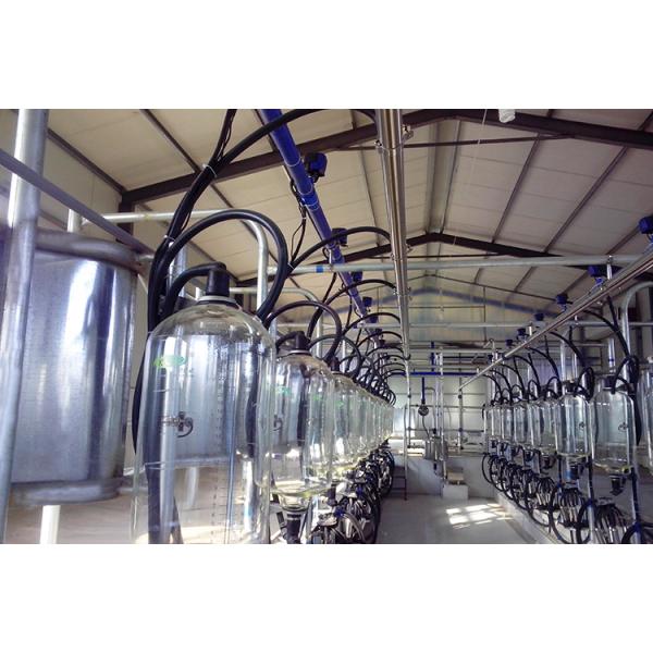 SS Herringbone Milking Parlor