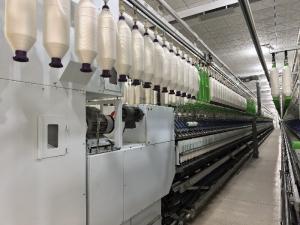Wuxi Delicate Textile Technology Co ., Ltd .