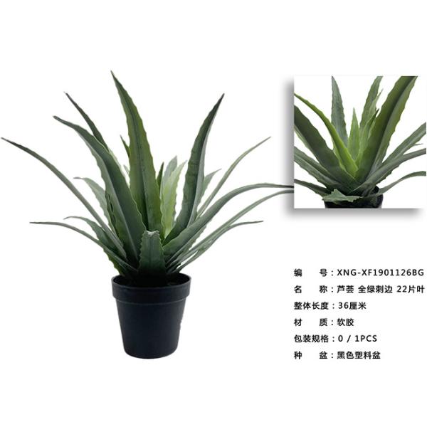 Flexible Glue Artificial Greenery Bonsai Tree Aloe Vera 30 CM 36 CM 50 CM61 CM
