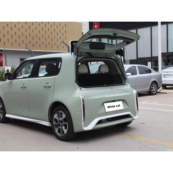 Pure Electric 48 Horsepower ORA White Cat 305km Range 4-Seater Hatchback Energy Vehicle 0km Used Mini Electric Car Adult