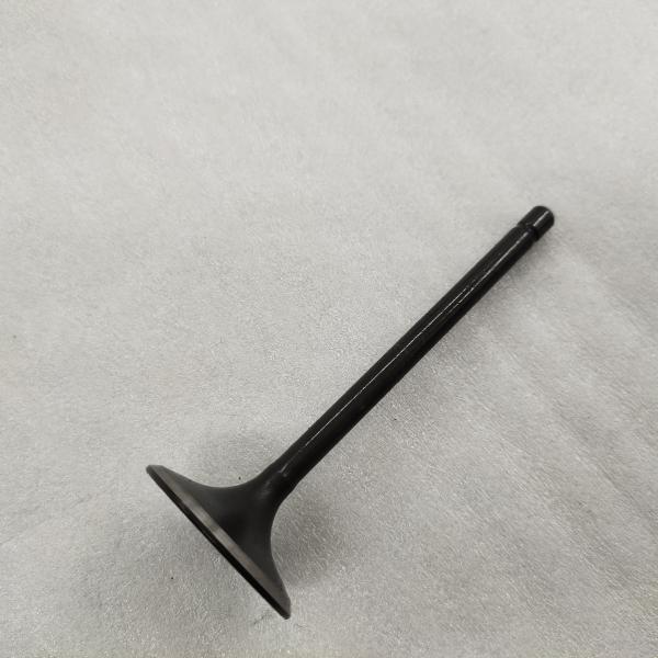 DAYANG moto à trois roues tricycle moteur en fer noir soupape de forgeage avec des matériaux