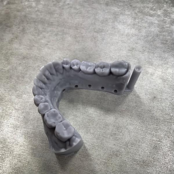 Minor Crack 3D Dental Model Enhanced Stability Consistent Performance