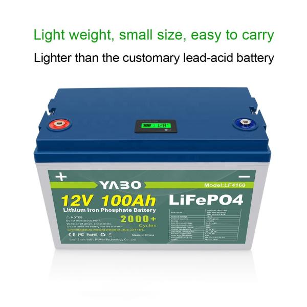 12v 100ah Lithium Iron Lifepo4 Battery BMS Energy Solar Control 12V