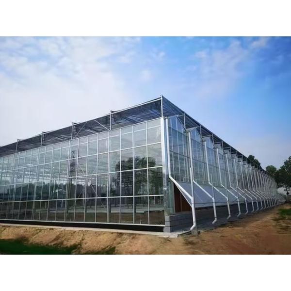 Shine Tech Automated Greenhouse Glass House Instruction Super Strong Resistance