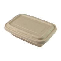 Retângulo biodegradável descartável do grupo do recipiente de alimento do bagaço da cana-de-açúcar