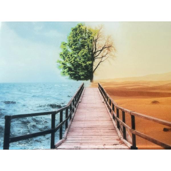 Digital Printing Building Tempered Glass 3mm-12mm Decoration Tempered Glass