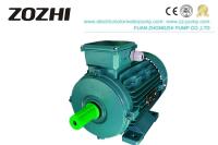 Eficacia del IEC motor de inducción de 3 fases 380 voltios de IP54 IP55 para la máquina de la pelotilla de la alimentación