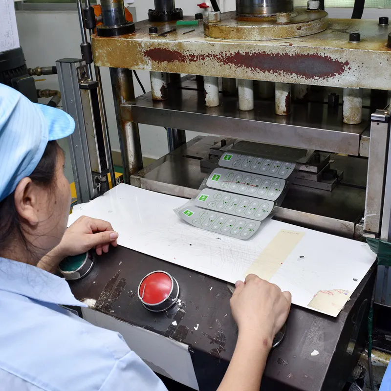 Silicone Rubber Keypad 2
