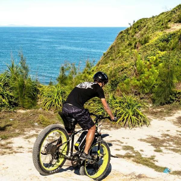 Легковес жирное 48V 1000w 17AH 26