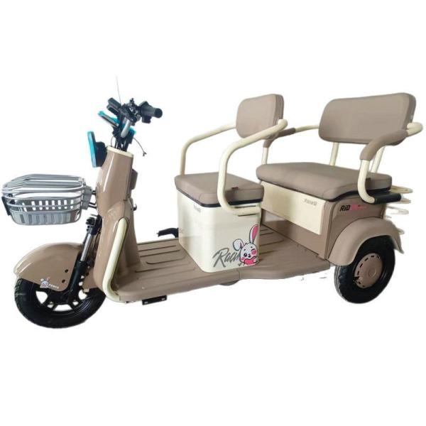 90KM 2 Person Electric Trike Adult Elderly Transporting Children