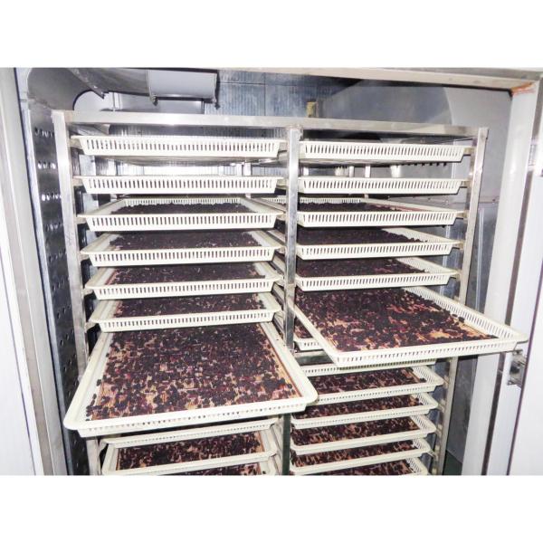 ISO9001 Industrial Fruit Oven Dryer Machine Hot Air Electric Auxiliary Heat 6m 8m
