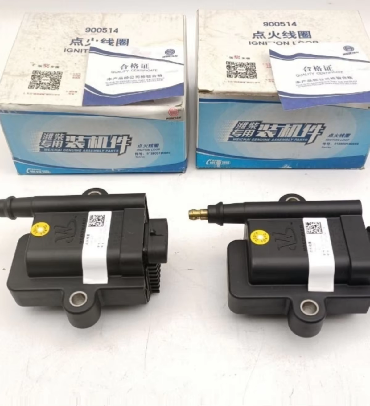 Power WP15 Engine Module Ignition Coil Parts with 1.5 Year Warranty for Natural Gas Series 1kg Made in China for Report