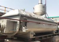 Secador horizontal do vácuo da pá de KJG 5000 Kg/H com bom serviço