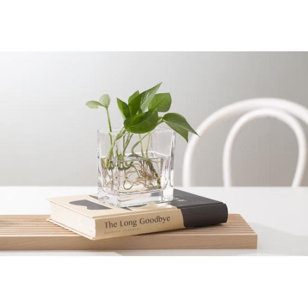 Transparent 350ml Home Decoration Glass Pressed Small Rectangle Glass Vase