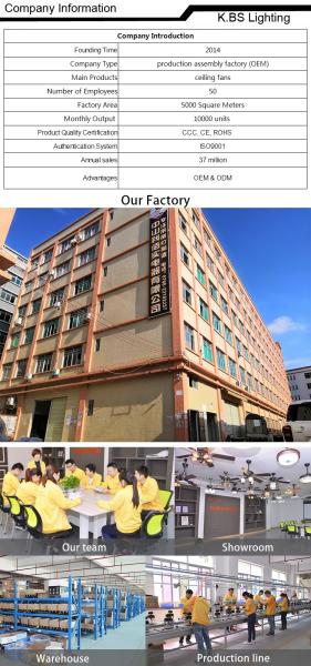 Energy-Saving Big Leaf Blade Industrial Workshop Big Ceiling Fan