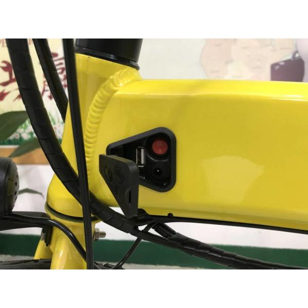 250w Folding Electric Bike 20 Inch Lightweight Foldable E Bicycle RICHBIT 740