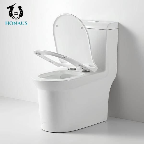 Self Clean Ceramic One Piece Toilet Bowl Luxury S/P Trap Siphonic Jet Customizable