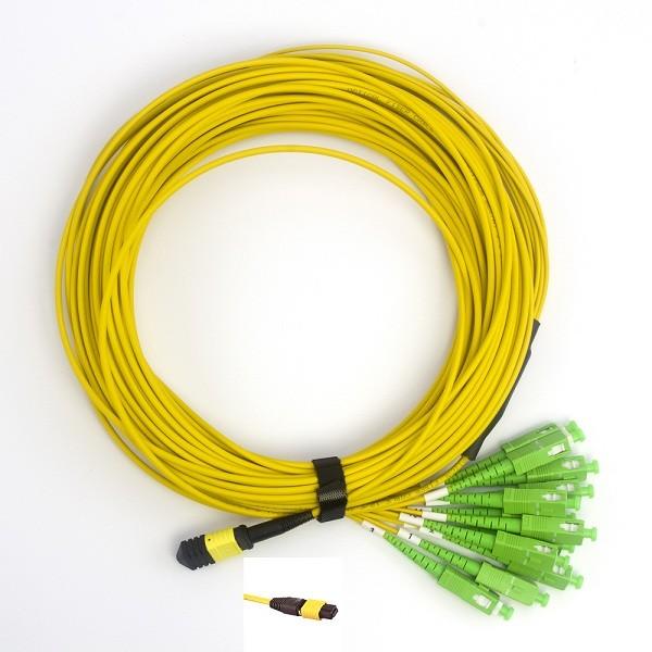 12F MPO/MTP to SC SM Fiber Optic MPO/MTP Jumper LSZH in Data Center