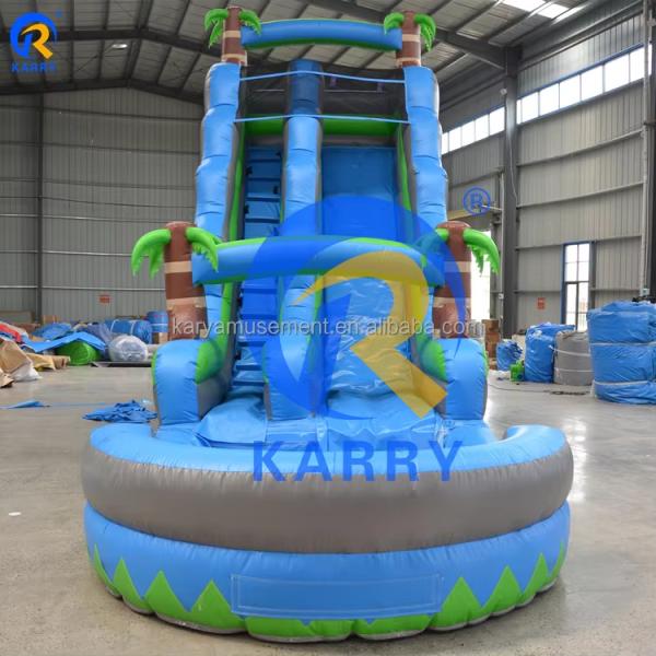 Customized Inflatable Pool Slides for Outdoor Large Party Rental CE/ROSE Certified