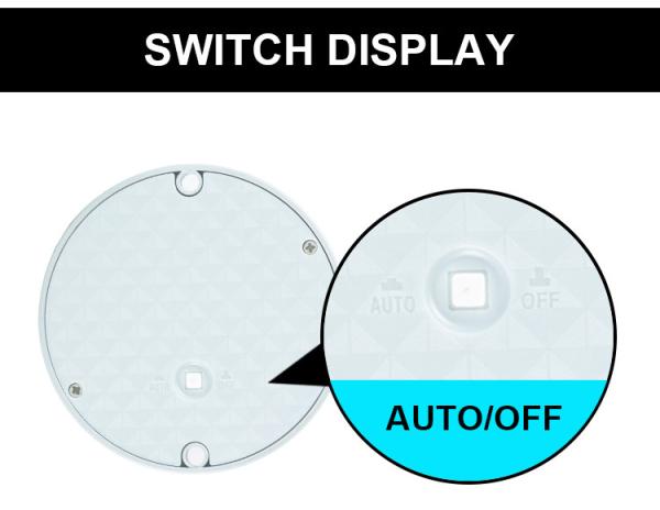 Waterproof Rating IP68 and White Outdoor Solar Light for Outdoor