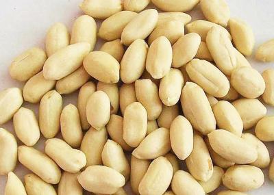 Grade AA Blanched Fried Peanut Kernel , Roasted Traditional Seeds Salted