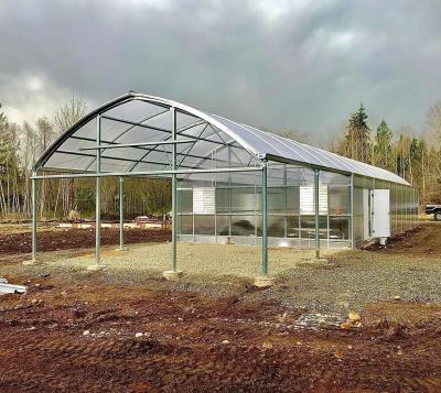 Estufas de vidro Venlo com sistema de hidroponia Cocopeat e personalização