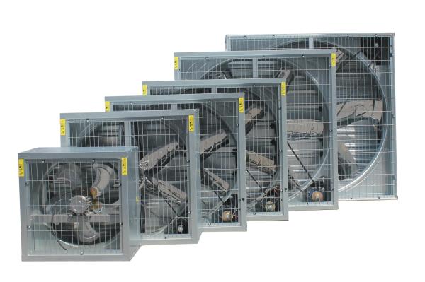 Pig Pen Using 1380mm Wall Mounted Heavy Hammer Box Exhaust Fan for Industrial Poultry Greenhouse Cooling System