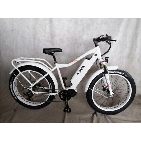 Shimano Gear Alloy Stem Dual Batteries Folding Step Through Ebike for Carrying Kids