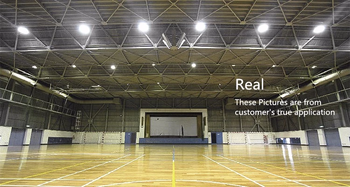 Алюминиевая материальная высокая эффективность 160LM/W делает на открытом воздухе свет водостойким потока СИД IP65