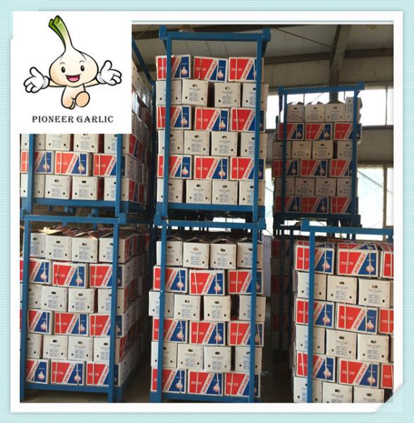 2016 Price of Garlic from China (GRADE AAA) Fresh Garlic For Sale