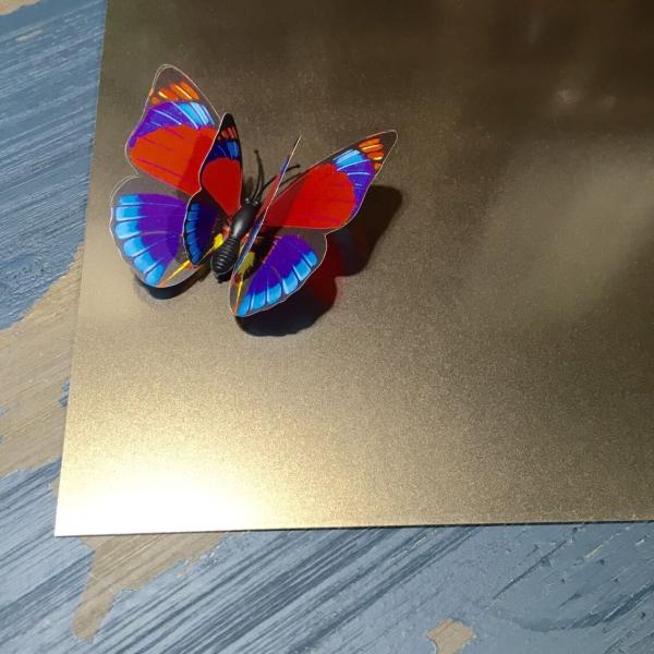 China Foshan Manufacturer sandblast beadblast stainless steel sheet with anti-finger print