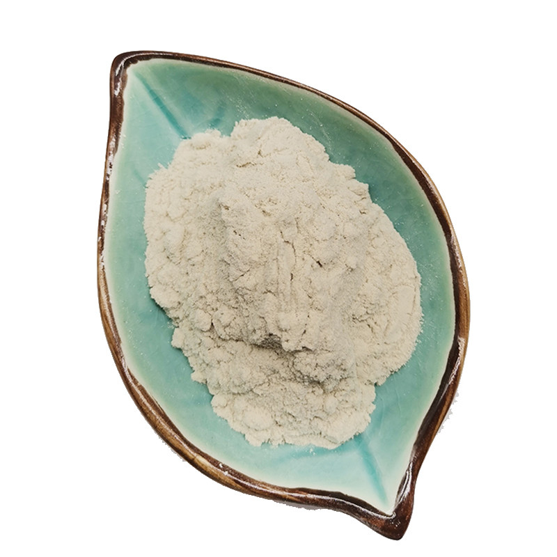 Discover the Versatility of 100Mesh 200 Mesh 325mesh Diatomite Powder