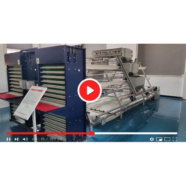 Hot Selling A Frame Automatic Chicken Layer Cage Poultry Cages Hot Galvanized Steel