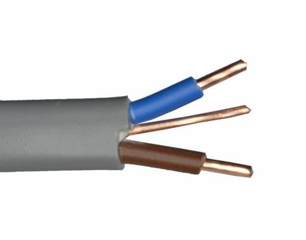 300/500V PVC Insulated Flat Twin and Earth Electric Cable for Light Industrial Wiring