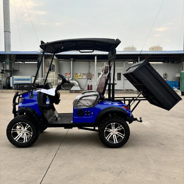 Chariot de golf électrique à deux places bleu saphir avec seau inclinable haute puissance de cheval couleur et logo personnalisables