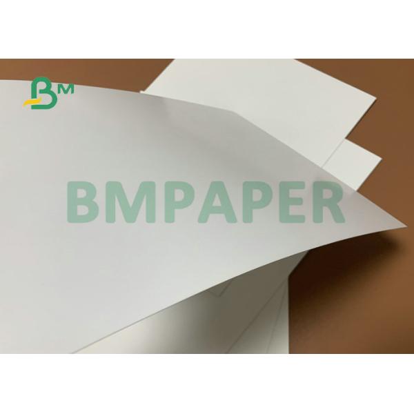 300gsm 350gsm C1S Carton Paperboard For Folding Packing Box