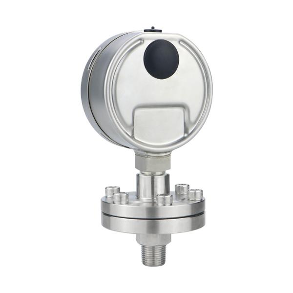 Thread G Connection 304 Stainless Steel Diaphragm Pressure Gauges for Hydraulic System