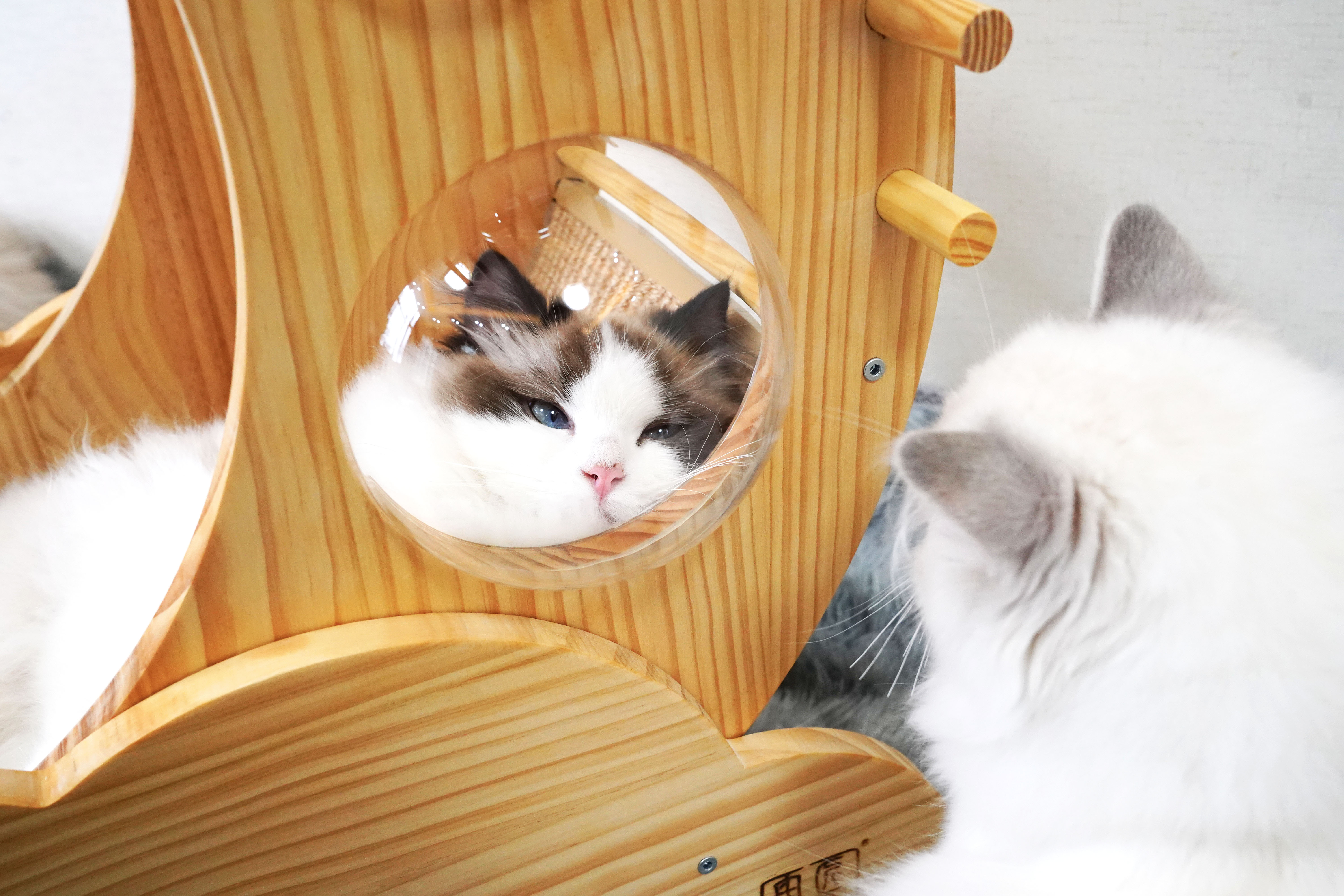 Дом на дереве кровати кота кондо любимца дома Scratcher кота Hallupets деревянный