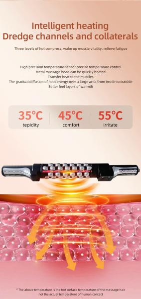 Inner Ball 8D Endosfera Face Roller Therapy Massager Slimspheres Cellulite Reduction Machine