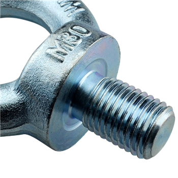 304 Stainless Steel Full Thread Ring Lifting Eye Bolt DIN 580 For Lifting Hardware