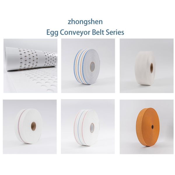 Customizable Length Egg Conveyor Belt with Lower than 0.3% Eggbrokenrate and Long Service Life for Poultry Layer Chicken Cage